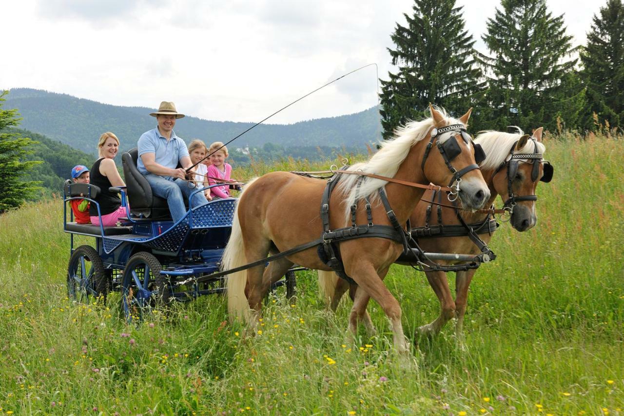 Hochgallinger Hof Siegsdorf Exteriör bild